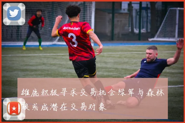 雄鹿积极寻求交易机会绿军与森林狼或成潜在交易对象
